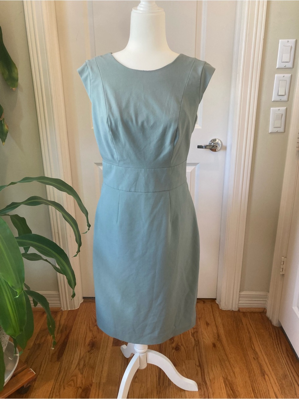 The Limited Sage Green Cap-Sleeve Sheath Dress